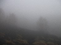 rra delle Concazze-20100425 090
